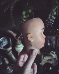 Image 3 of Doll head 