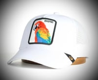 ANIMALS G00RlN Style Trucker Hat – Exotic