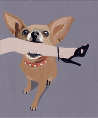  CHIHUAHUA