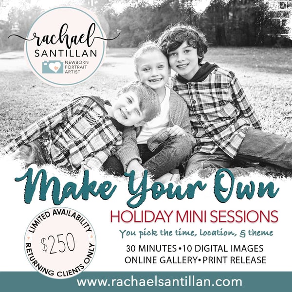 Image of 2024 Make Your Own Holiday Mini Session!
