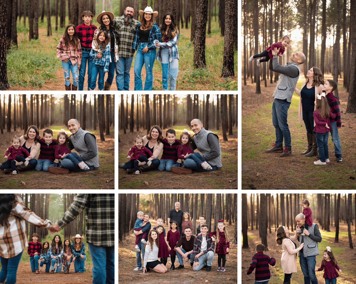 Jones Forest Family Mini Sessions, Nov 30th