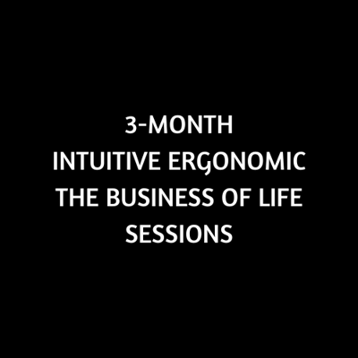 Image of 3-Month Intuitive Ergonomic The Business of Life Sessions