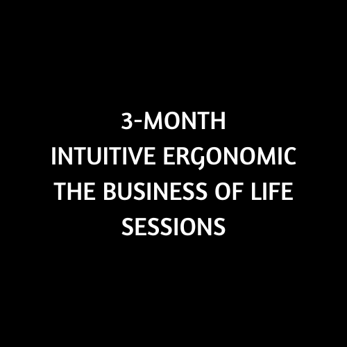 Image of 3-Month Intuitive Ergonomic The Business of Life Sessions