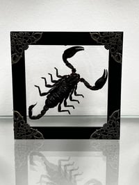 Mystical Scorpion