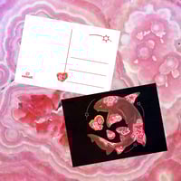 Rhodochrosite Nurse Shark 5"x7" Postcard