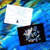 Labradorite Blacktip Reef Shark 5"x7" Postcard