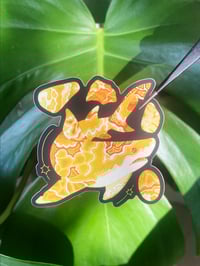 Image 5 of Honey Calcite Lemon Shark Sticker