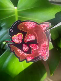 Image 5 of Rhodochrosite Nurse Shark Sticker
