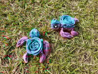 Image 2 of Rose Turtles