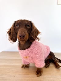 Image 3 of Cozy Baby Pink, Baby Blue & Beige Pet Sweater