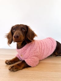 Image 4 of Cozy Baby Pink, Baby Blue & Beige Pet Sweater
