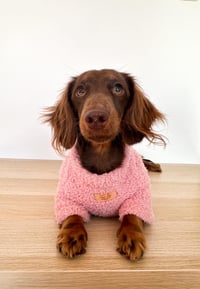 Image 2 of Cozy Baby Pink, Baby Blue & Beige Pet Sweater