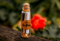 Image 1 of Birthday - Message in a Bottle