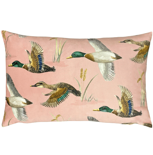 Image of Duck Cushion