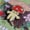 Image of 'Mushroom Man' Hard Enamel Pin