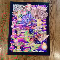 Image 2 of The Disco Biscuits July 2024