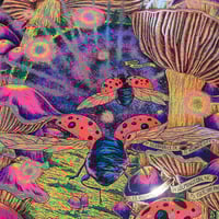 Image 4 of The Disco Biscuits July 2024