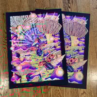Image 5 of The Disco Biscuits July 2024
