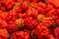 Carolina Reaper Hot Honey