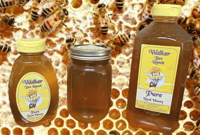 Walker Bee Ranch Honey