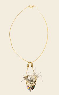 Image 1 of Air Plant Necklace with Wooden Beads Copy