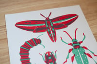 Image 2 of Friendly Bugs Risograph Print