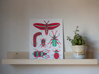 Image 3 of Friendly Bugs Risograph Print