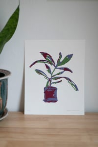 Dusk House Plant Screenprint