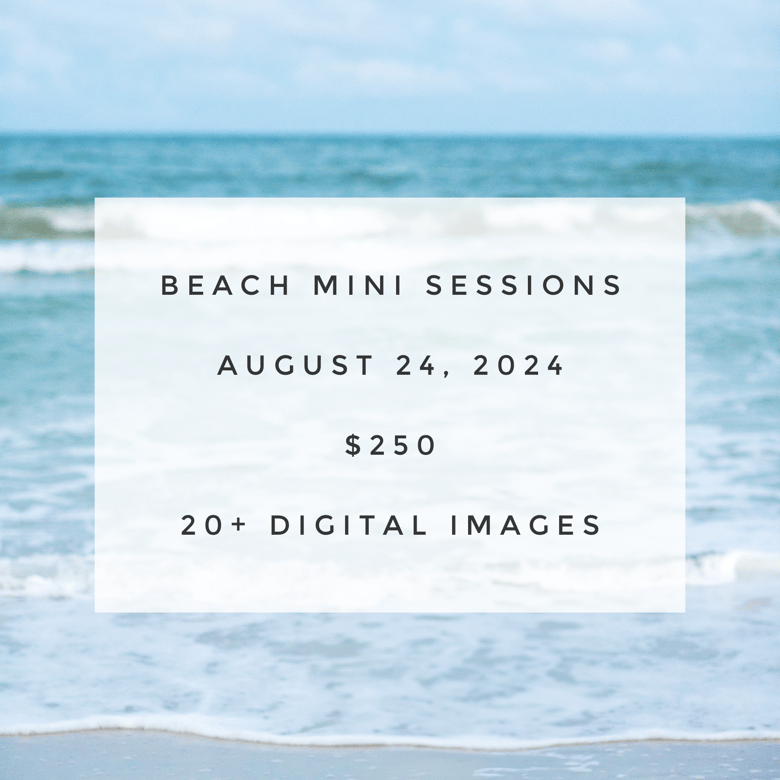 Image of Beach Minis - 8/24/24