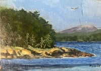 Image 1 of Bean Island South Shore