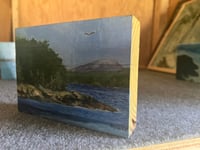 Image 2 of Bean Island South Shore