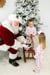 Image of Santa Minis! 11.17.24