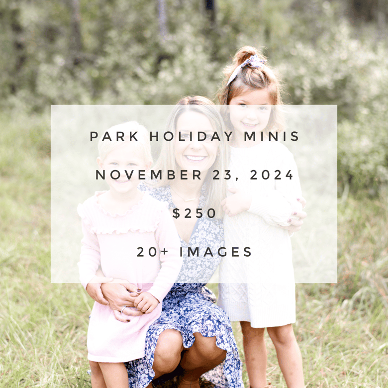 Image of Park Holiday Minis- 11.23.24