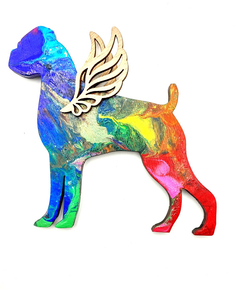 Rainbow Boxer Angel No.5
