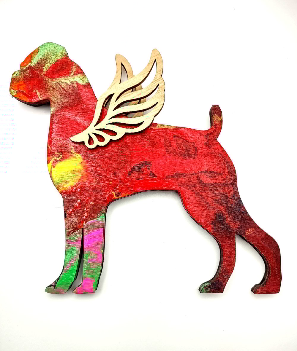 Rainbow Boxer Angel No.16