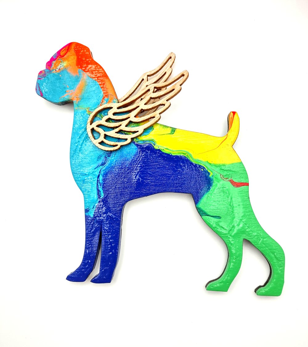 Rainbow Boxer Angel No.19