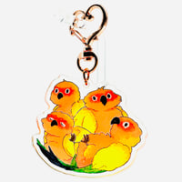 Image 2 of Sun Conure Charm