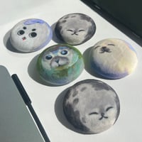 Image 3 of squishy seal buttons / magnets