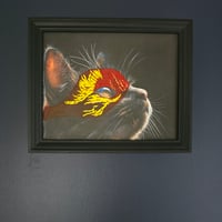 Image 2 of Chat masqué - VENDU