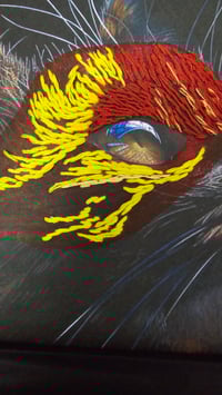 Image 1 of Chat masqué - VENDU