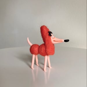 Image of Sally Tomato the Tiniest Toy Poodle