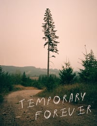 Image 1 of Temporary Forever by Dan Caplan