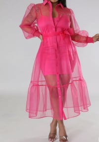 Image 1 of Ladies Sheer Party Dress