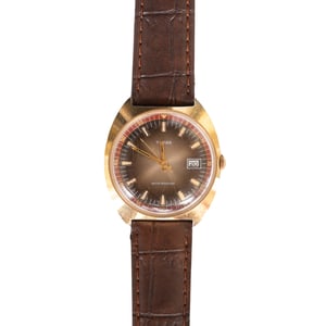 70s timex q