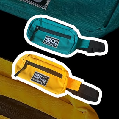 Image of Kids Fanny Pack