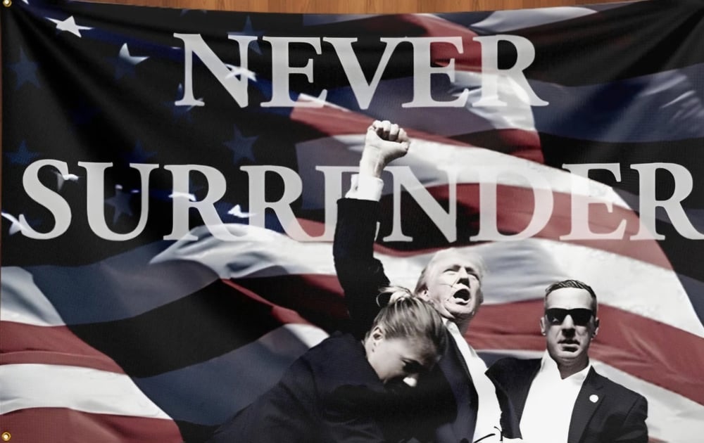 Image of Never Surrender Trump Flag