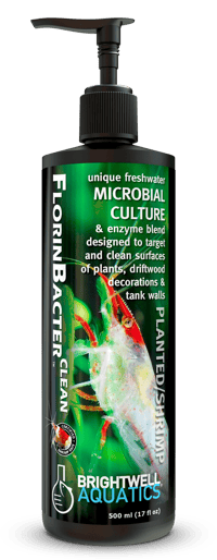 FlorinBacter Clean