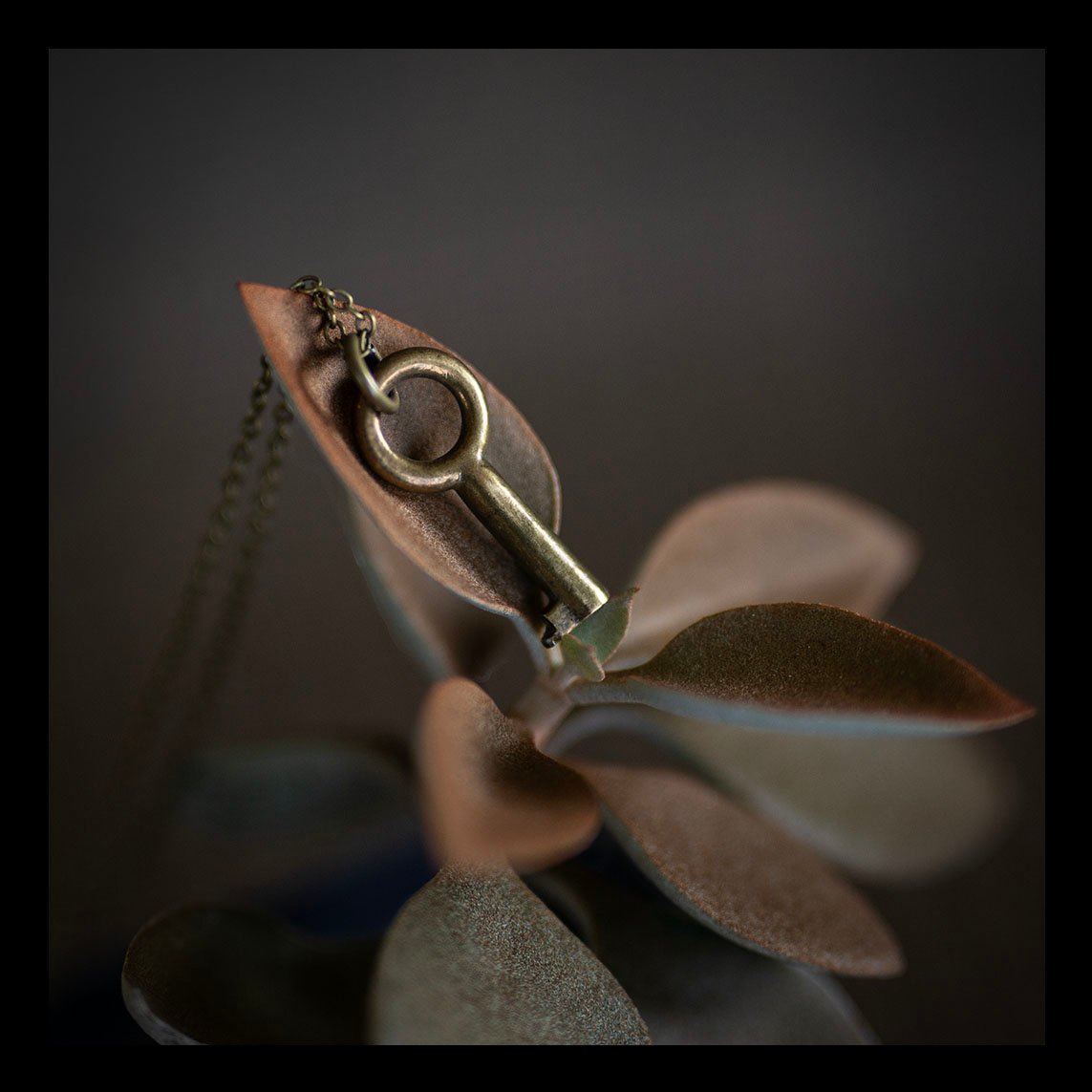 Small circular brass key necklace on brass chain
