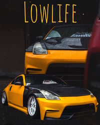 Image 1 of Lowlife flame banner 