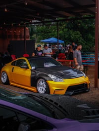 Image 2 of Lowlife flame banner 
